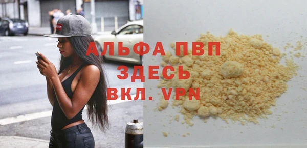 молекула духа Осташков