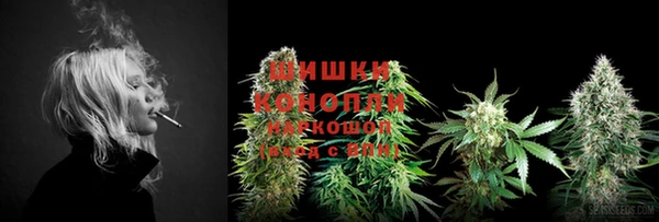 прущий лед Галич