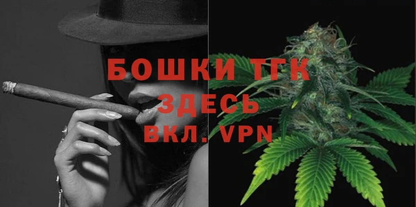 молекула духа Осташков