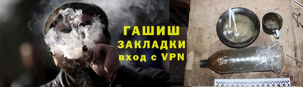 молекула духа Осташков