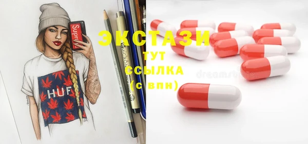 молекула духа Осташков