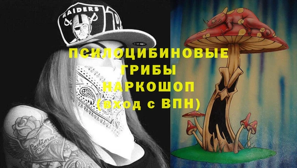 метадон Гвардейск