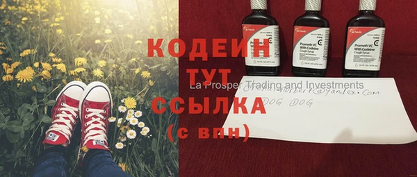 молекула духа Осташков