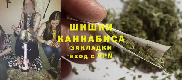 молекула духа Осташков