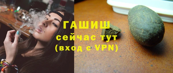 молекула духа Осташков