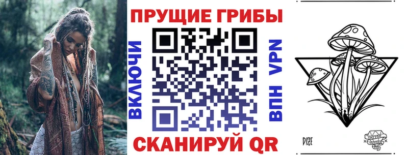Галлюциногенные грибы прущие грибы  закладка  кракен зеркало  Котельнич 