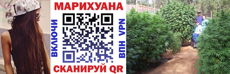 Шишки марихуана индика  Котельнич 